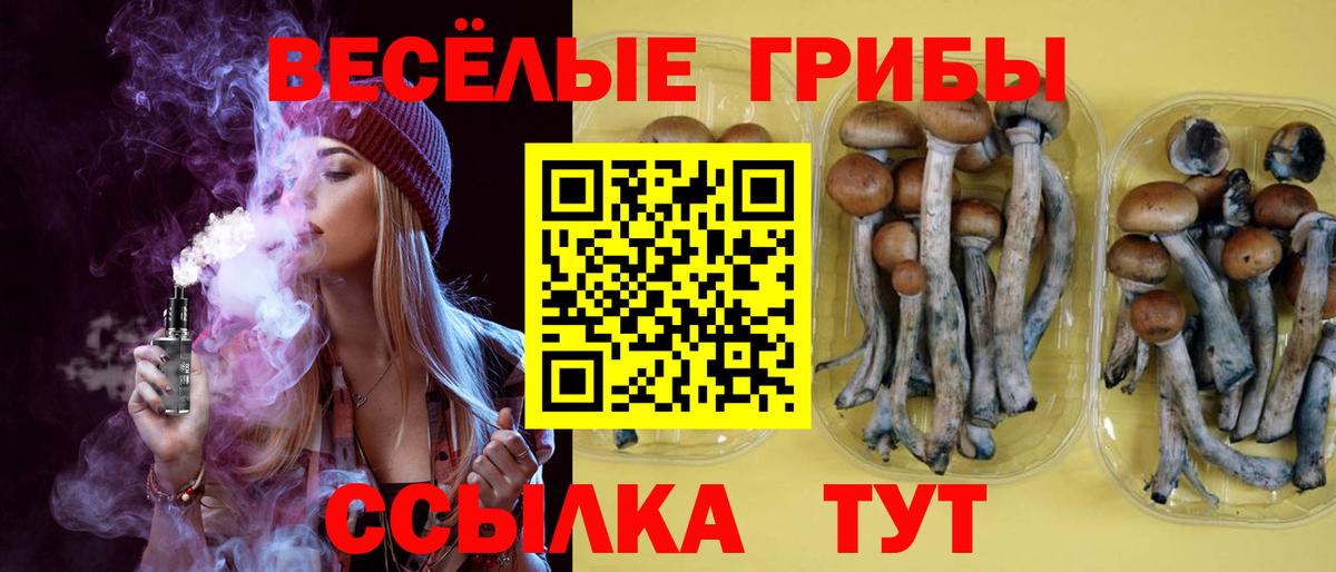 Галлюциногенные грибы Psilocybe  где купить наркоту  Сосновоборск  Псилоцибиновые грибы ЛСД  Вход с VPN 